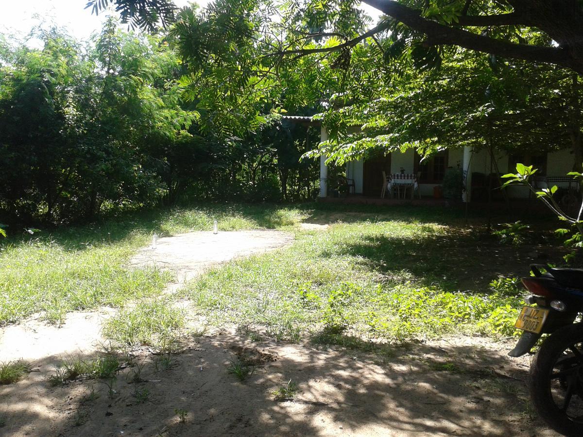 Ferienwohnung Family Nest Dambulla Exterior foto