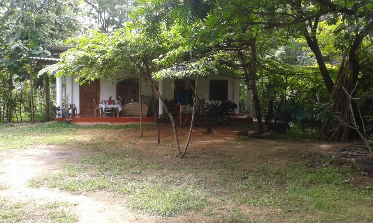 Ferienwohnung Family Nest Dambulla Exterior foto